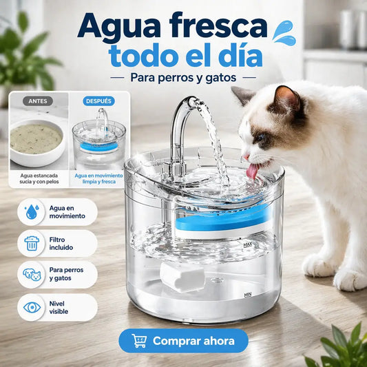 💧 Agua fresca para tu mascota todo el día